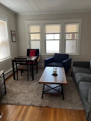 244Cedar2living2.jpg